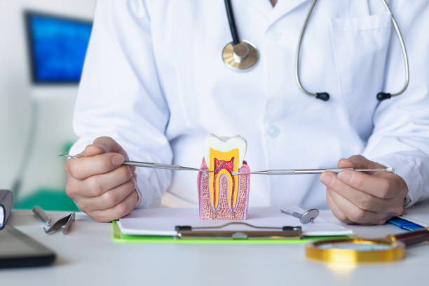 Best Emergency Dentist for Special Needs Patients in Humboldt, KS